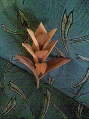 коллекция цветов из дерева